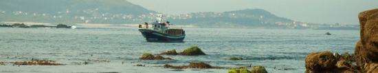 fflo-1