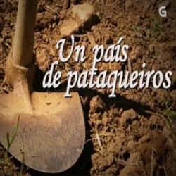 SaL_PaísPataqueiros320
